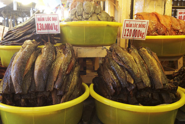 15 21 11dac san mam chau doc 7