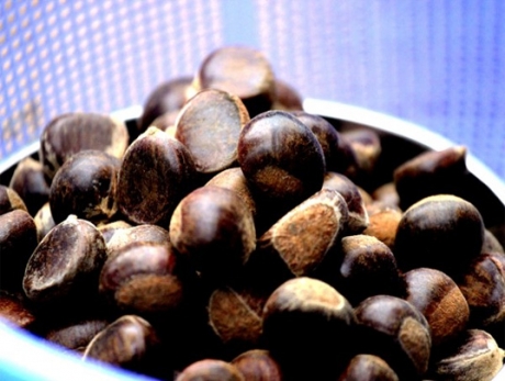 Thơm ngậy hạt dẻ Trùng Khánh